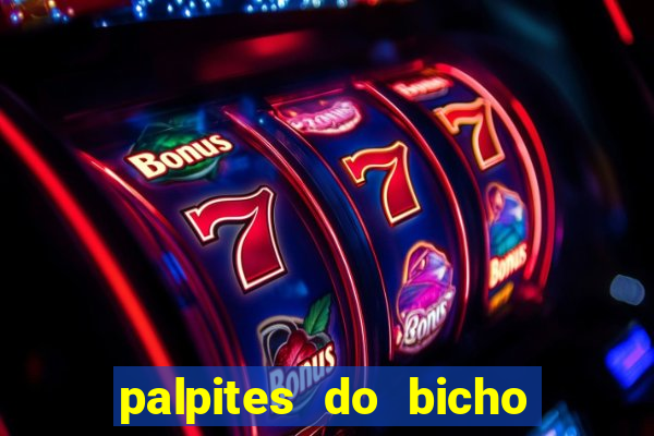 palpites do bicho no celular